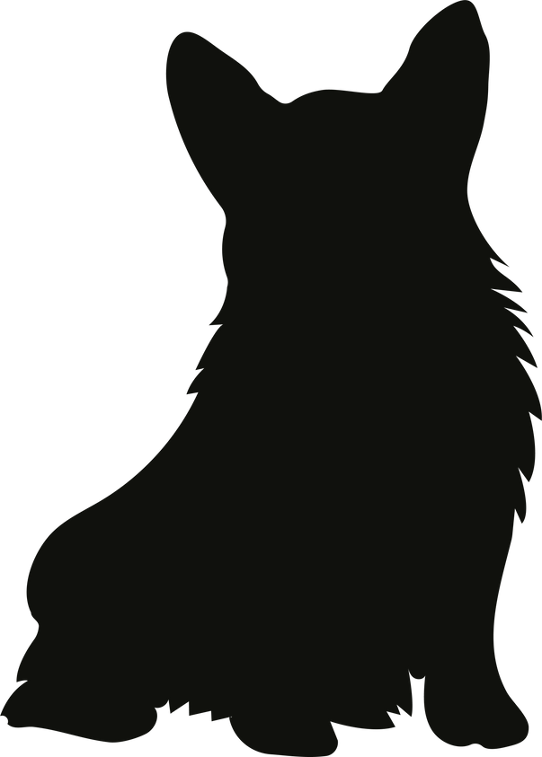 Illustration of a dog corgi. Pedigree dogs. Silhouette pet.